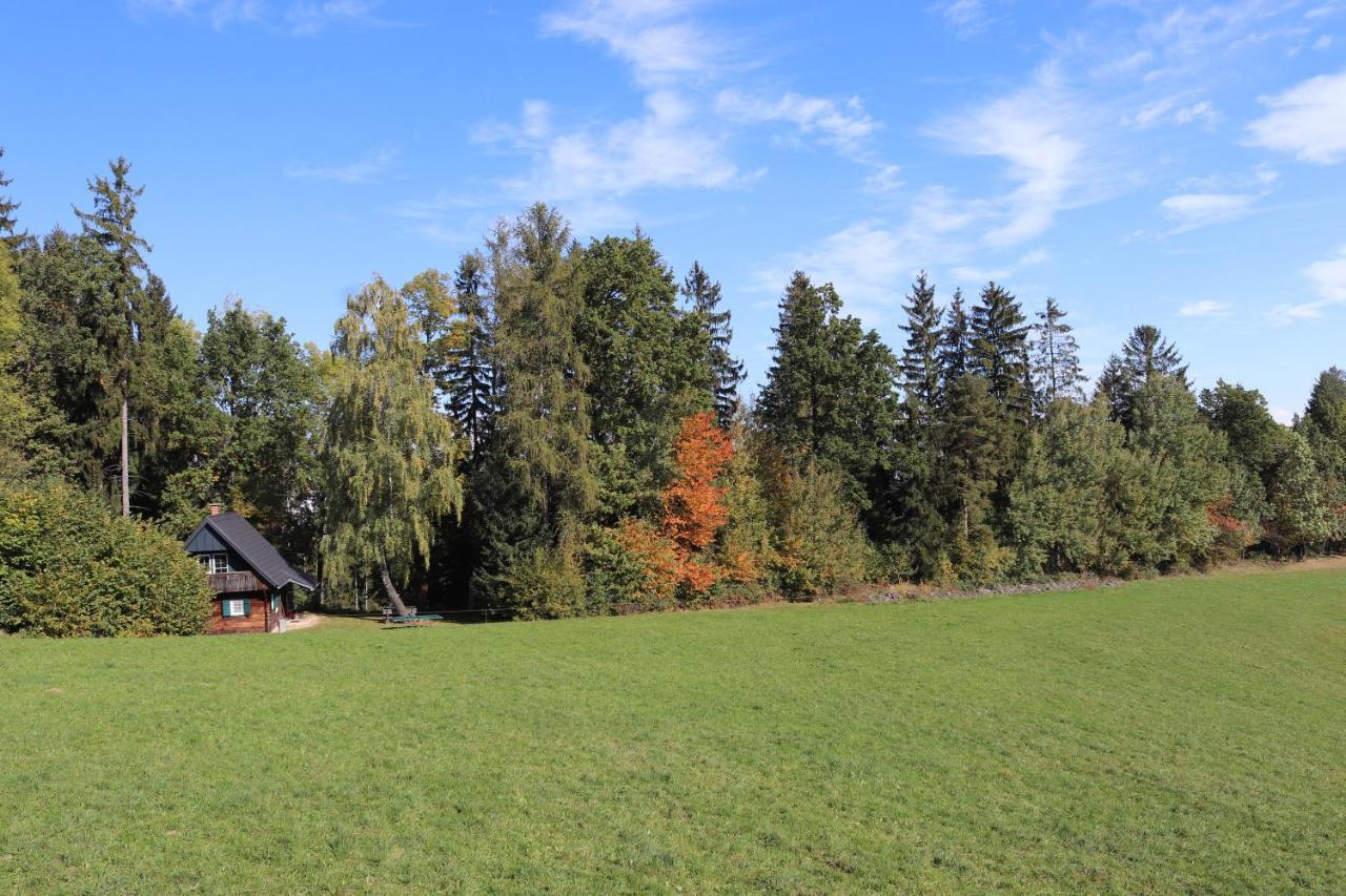 Gregor'S Ferienhaus Im Wald Villa Edelschrott Exterior foto